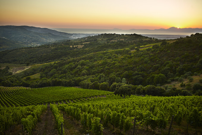 Campania