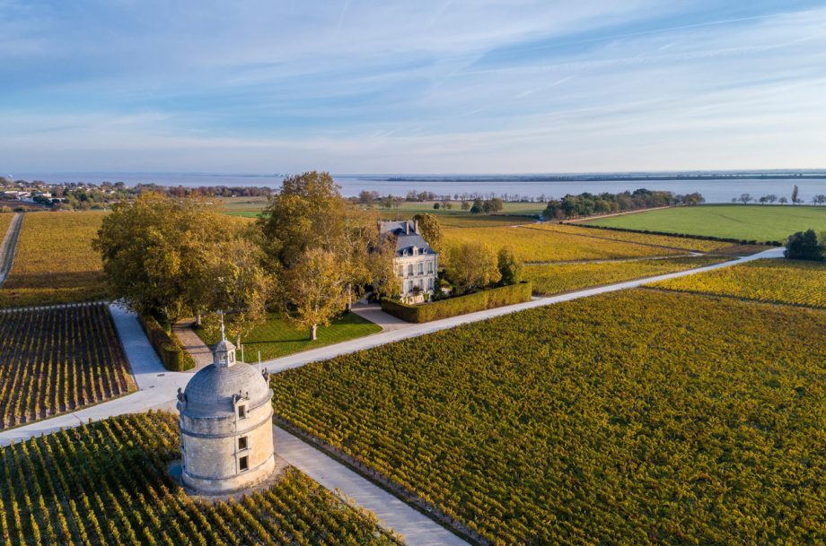 French vineyards