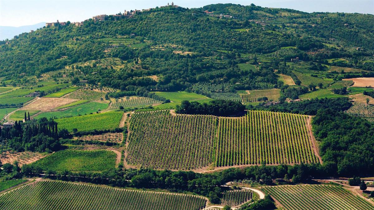 Montalcino
