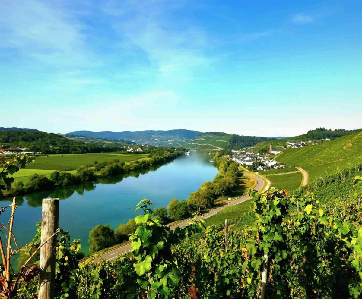 Mosel