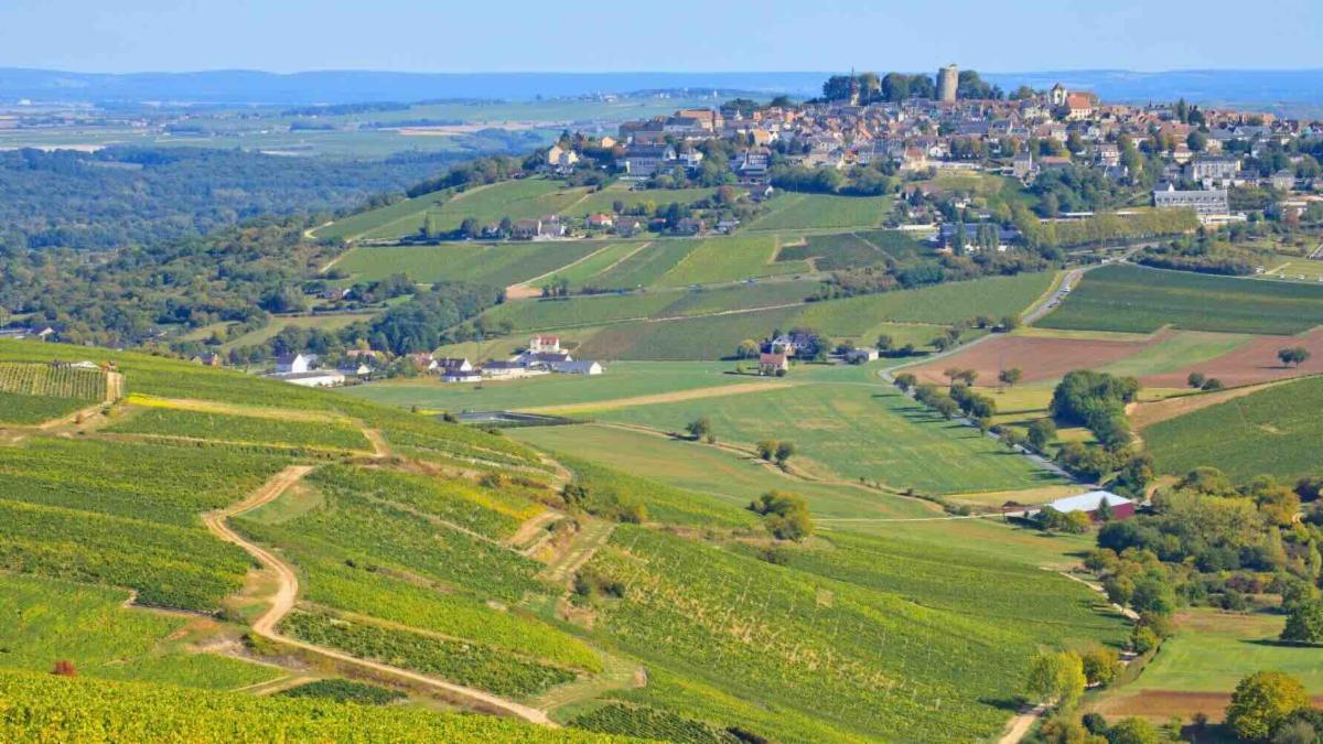 Sancerre country